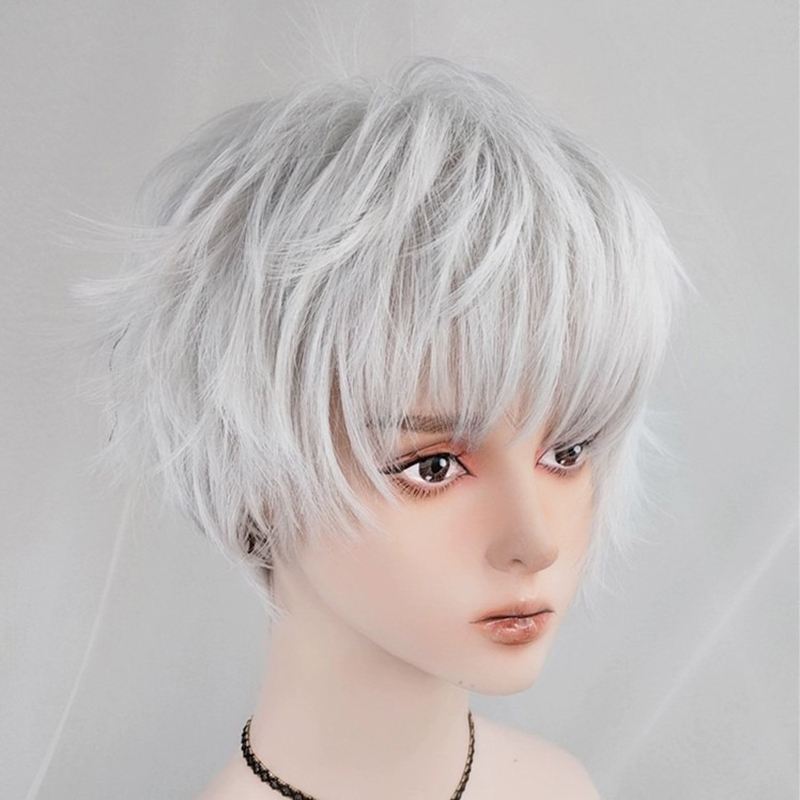Anime Cosplay Wig White Simula - Cosplay Anime White Hair recension och pris